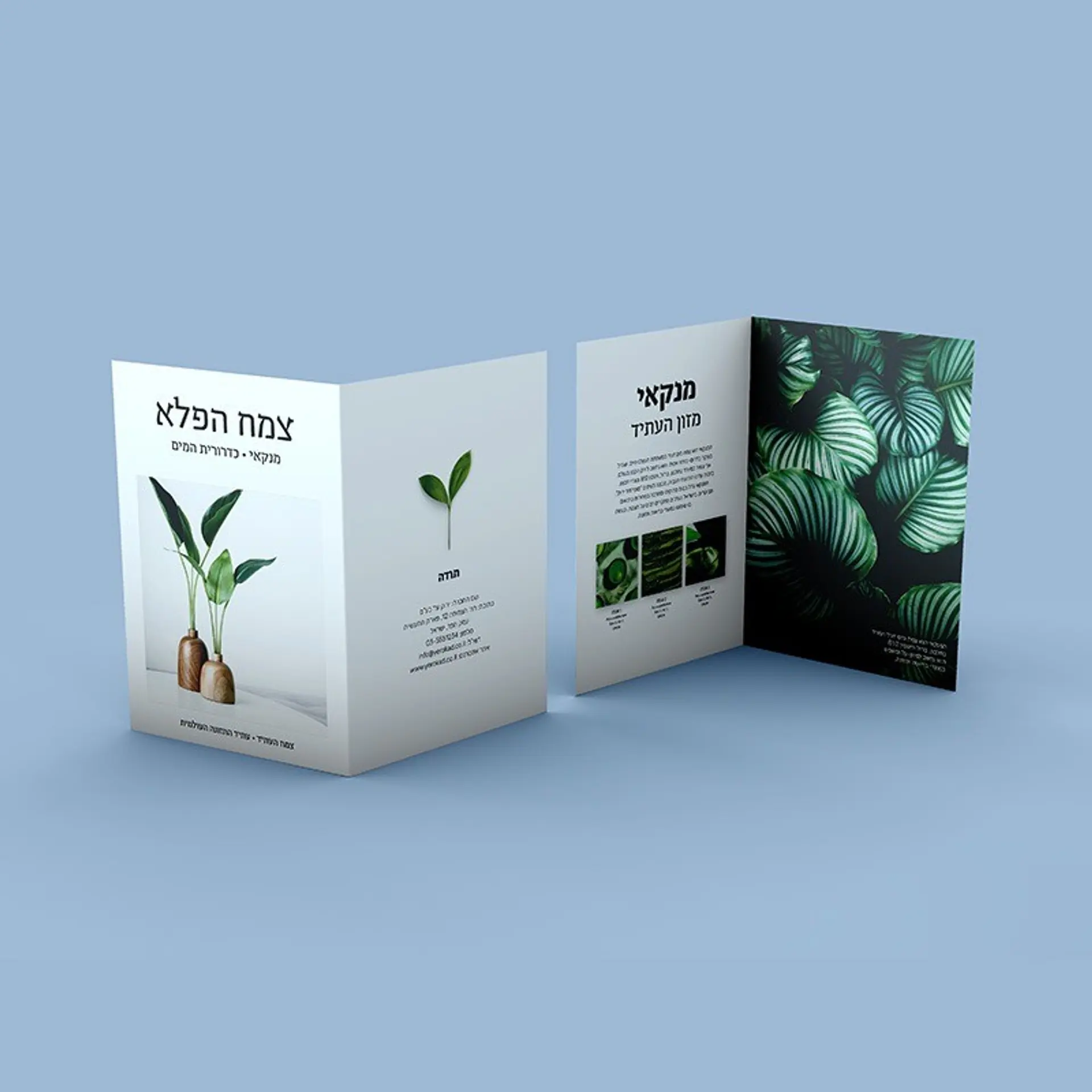 פלייר קיפול אחד