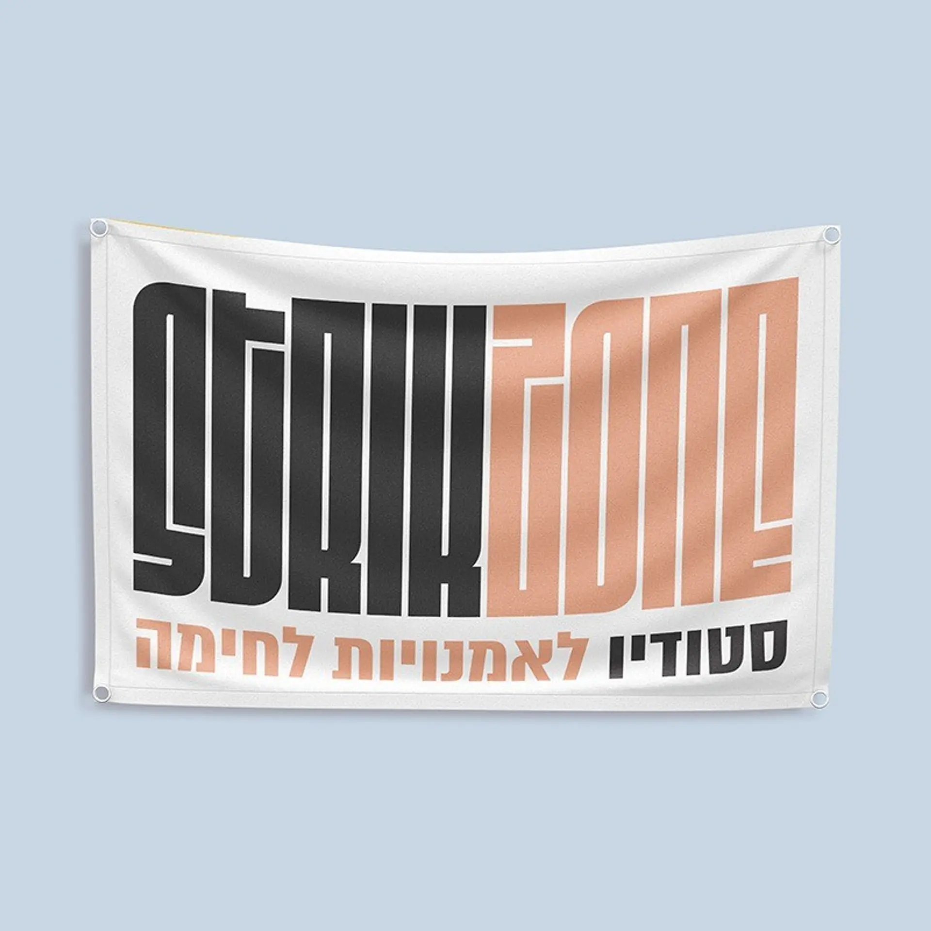 שלט שמשונית